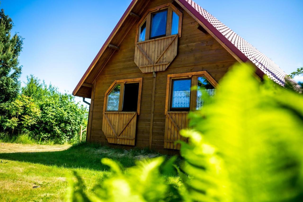 Villa Zastan Мендзиводзе Екстериор снимка